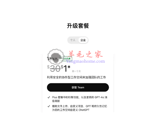国内1美元开通ChatGPT Team 和 取消订阅 ChatGPT Team的教程
