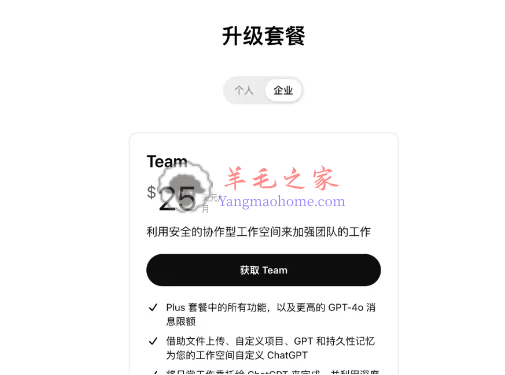 国内1美元开通ChatGPT Team 和 取消订阅 ChatGPT Team的教程