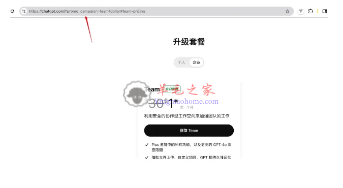 国内1美元开通ChatGPT Team 和 取消订阅 ChatGPT Team的教程