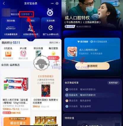 支付宝铂金/钻石会员领成人口腔特权 每年洗牙或补牙1次
