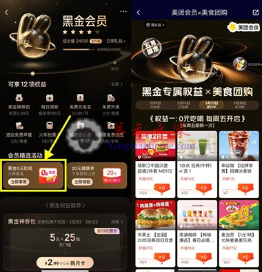 美团黑金以上会员专属权益全场天天0元购奶茶/美食